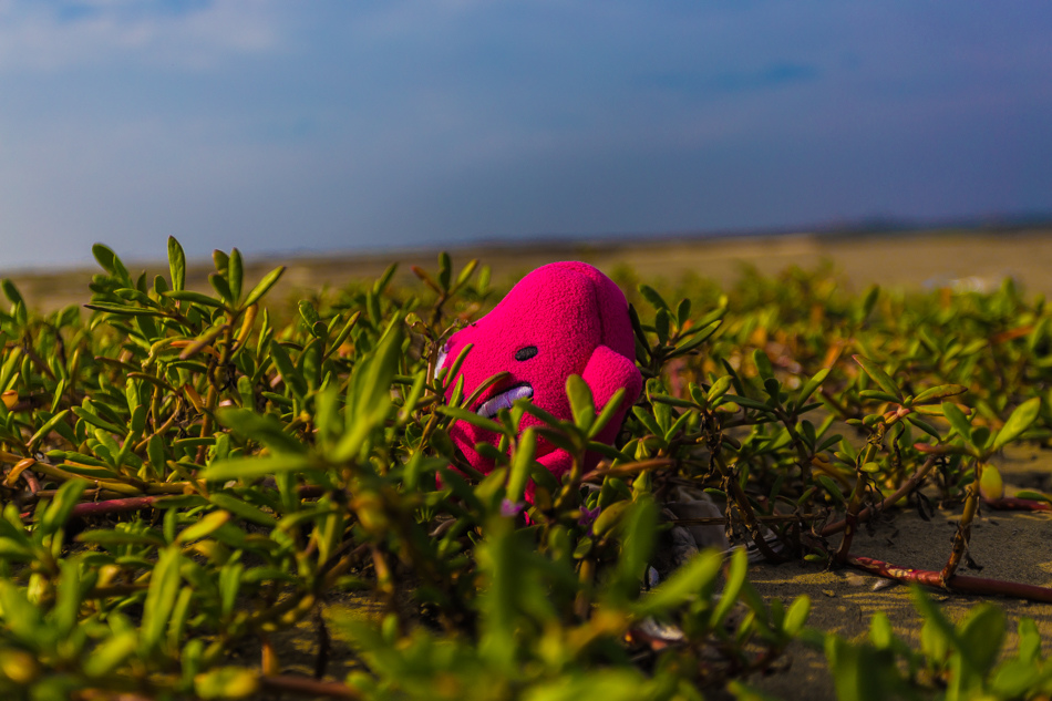 雲嘉南濱海線旅遊(一) - 外傘頂洲 雲嘉南濱海線旅遊(一) - 外傘頂洲