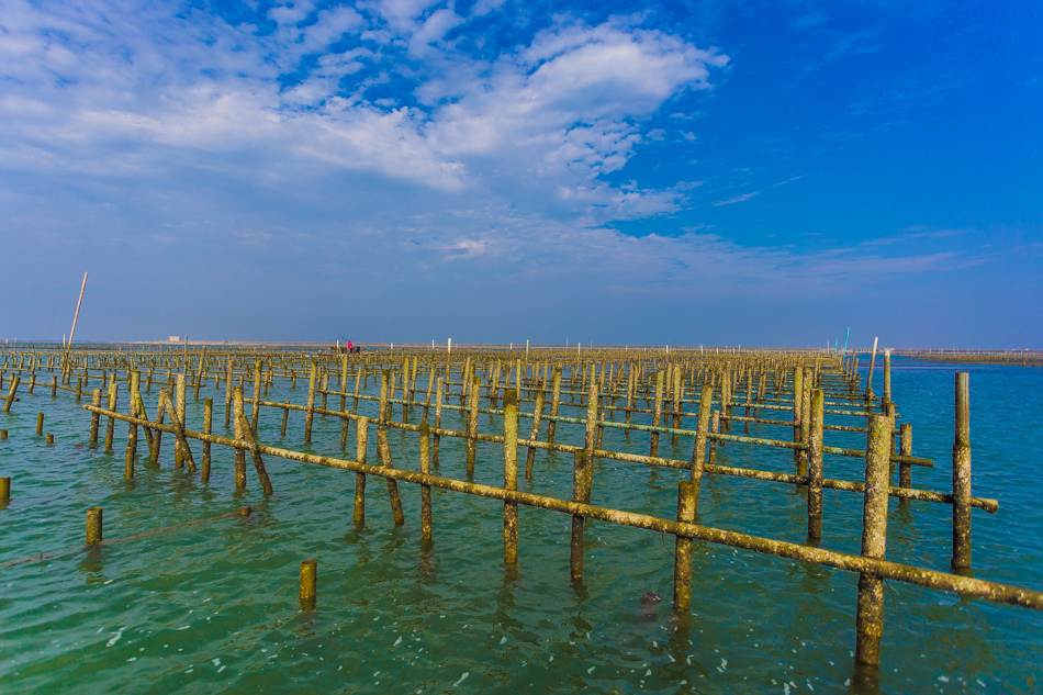 雲嘉南濱海線旅遊(一) - 外傘頂洲 雲嘉南濱海線旅遊(一) - 外傘頂洲