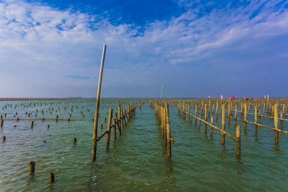 雲嘉南濱海線旅遊(一) - 外傘頂洲 雲嘉南濱海線旅遊(一) - 外傘頂洲