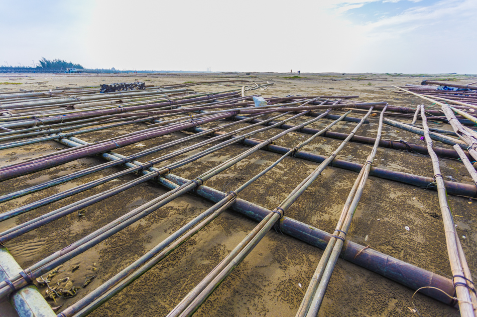 雲嘉南濱海線旅遊(一) - 外傘頂洲 雲嘉南濱海線旅遊(一) - 外傘頂洲