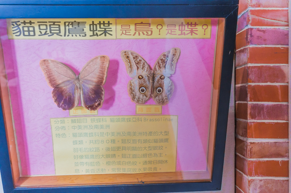 雲嘉南濱海線旅遊 - 南鯤鯓 雲嘉南濱海線旅遊 - 南鯤鯓