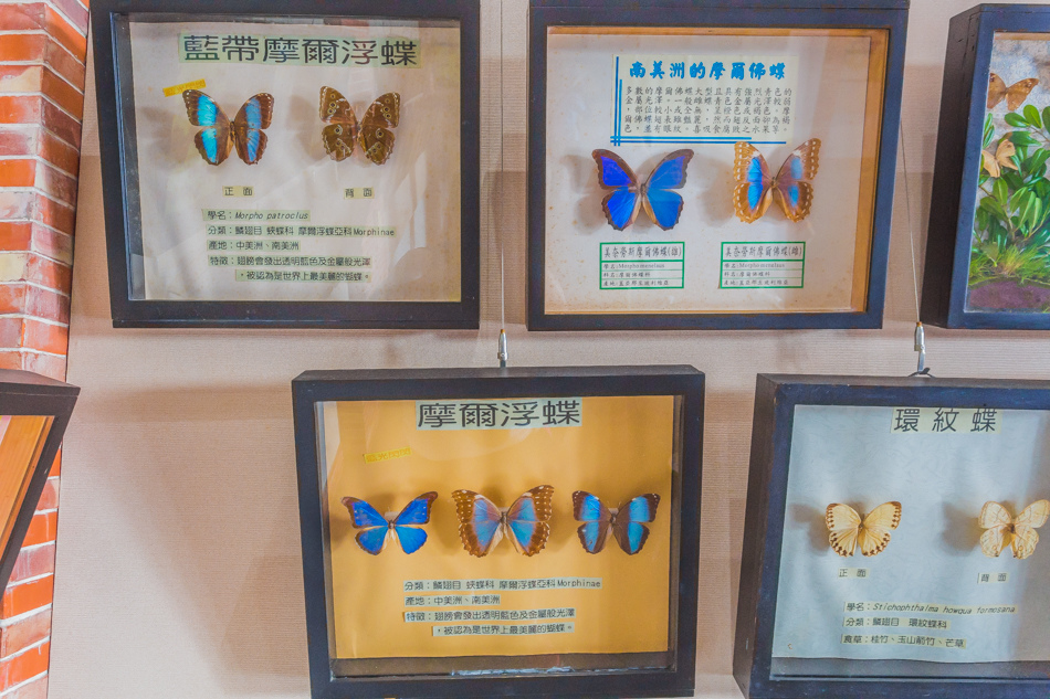 雲嘉南濱海線旅遊 - 南鯤鯓 雲嘉南濱海線旅遊 - 南鯤鯓