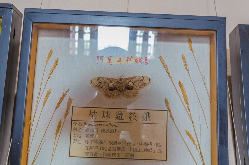 雲嘉南濱海線旅遊 - 南鯤鯓 雲嘉南濱海線旅遊 - 南鯤鯓