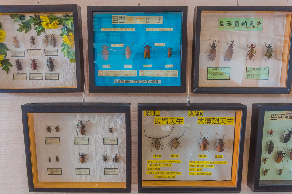 雲嘉南濱海線旅遊 - 南鯤鯓 雲嘉南濱海線旅遊 - 南鯤鯓