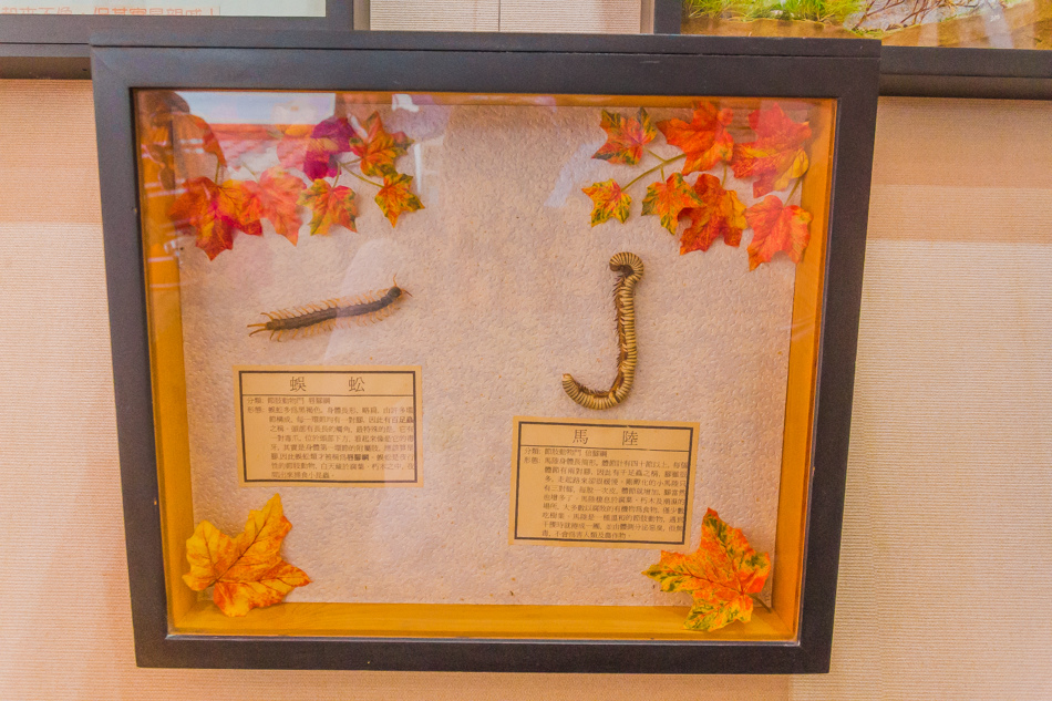 雲嘉南濱海線旅遊 - 南鯤鯓 雲嘉南濱海線旅遊 - 南鯤鯓