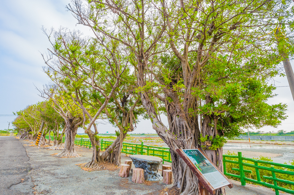 鹽鄉民宿餐廳