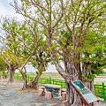 鹽鄉民宿餐廳