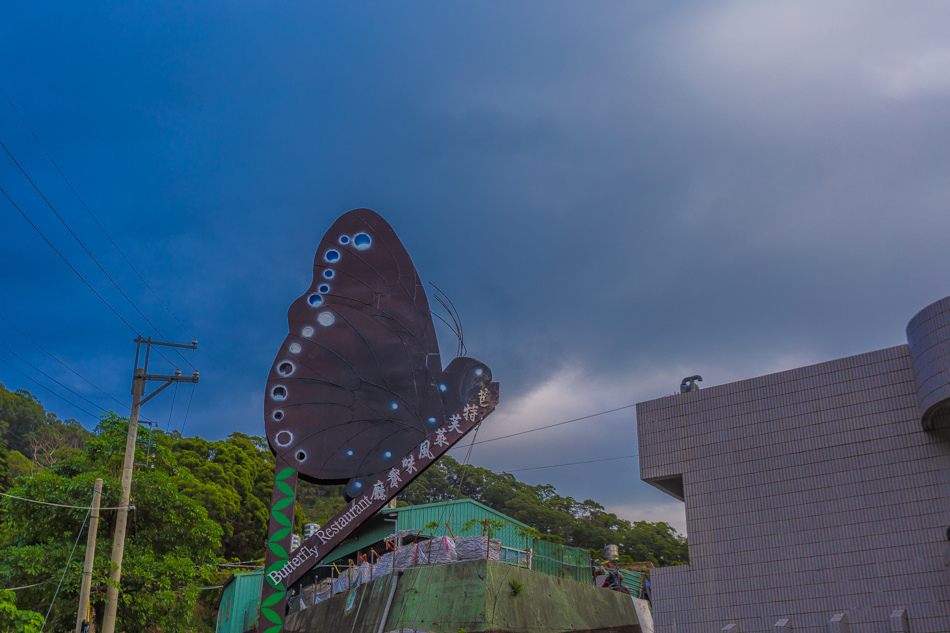 高雄旅遊 - 茂林紫斑蝶 高雄旅遊 - 茂林紫斑蝶