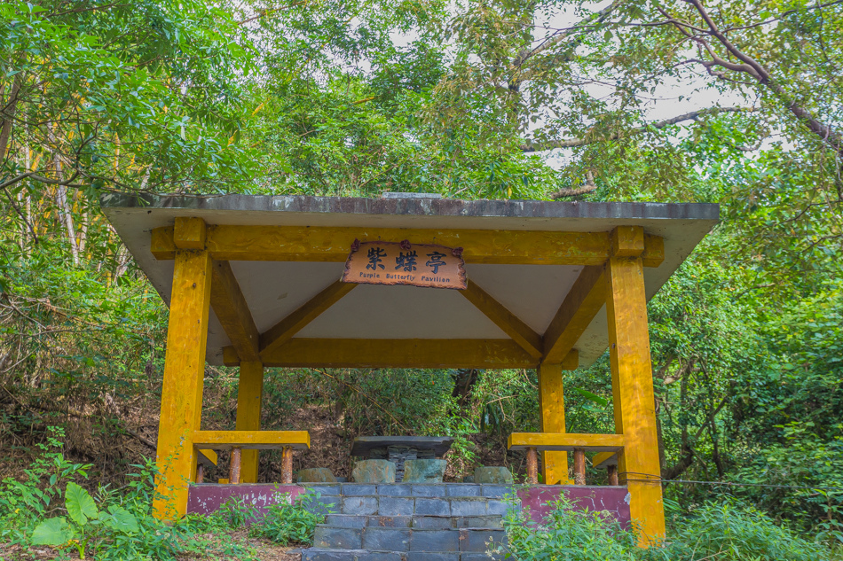 高雄旅遊 - 茂林紫斑蝶 高雄旅遊 - 茂林紫斑蝶