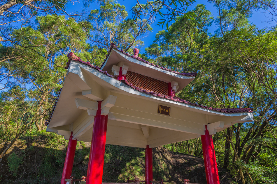 高雄旅遊 - 茂林紫斑蝶 高雄旅遊 - 茂林紫斑蝶