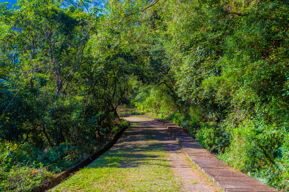 高雄旅遊 - 茂林紫斑蝶 高雄旅遊 - 茂林紫斑蝶