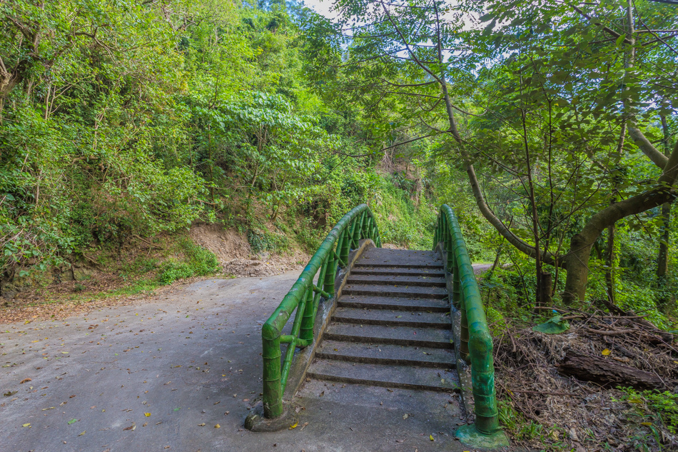 高雄旅遊 - 茂林紫斑蝶