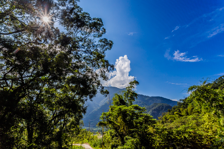 高雄旅遊 - 茂林紫斑蝶 高雄旅遊 - 茂林紫斑蝶
