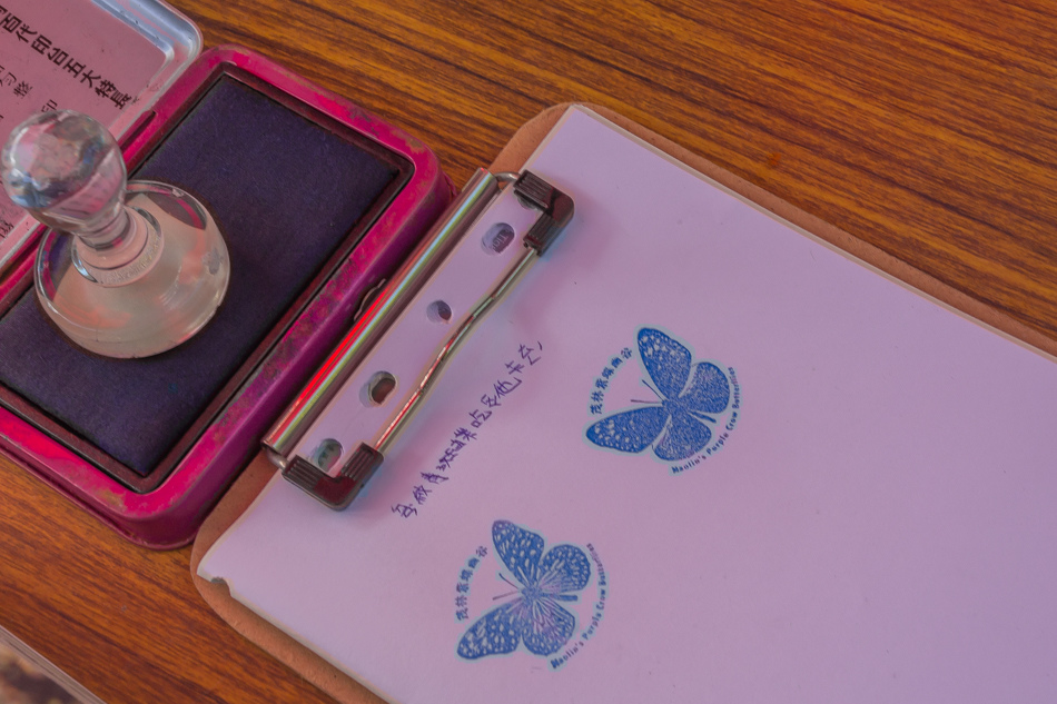 高雄旅遊 - 茂林紫斑蝶 高雄旅遊 - 茂林紫斑蝶