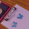 高雄旅遊 - 茂林紫斑蝶