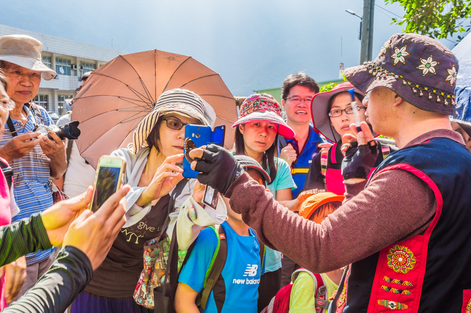 高雄旅遊 - 茂林紫斑蝶 高雄旅遊 - 茂林紫斑蝶