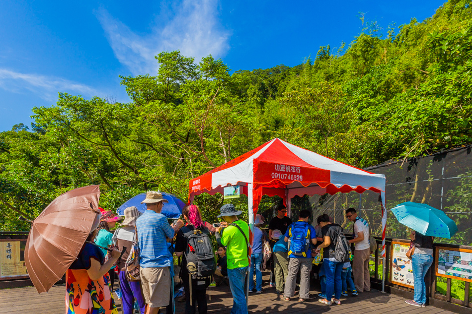 高雄旅遊 - 茂林紫斑蝶 高雄旅遊 - 茂林紫斑蝶