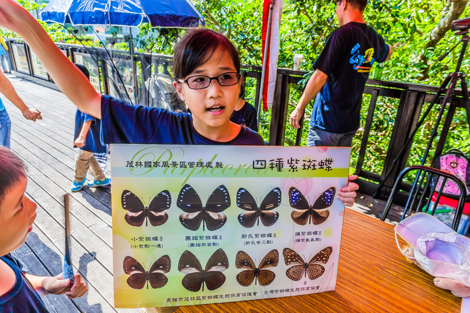 高雄旅遊 - 茂林紫斑蝶 高雄旅遊 - 茂林紫斑蝶