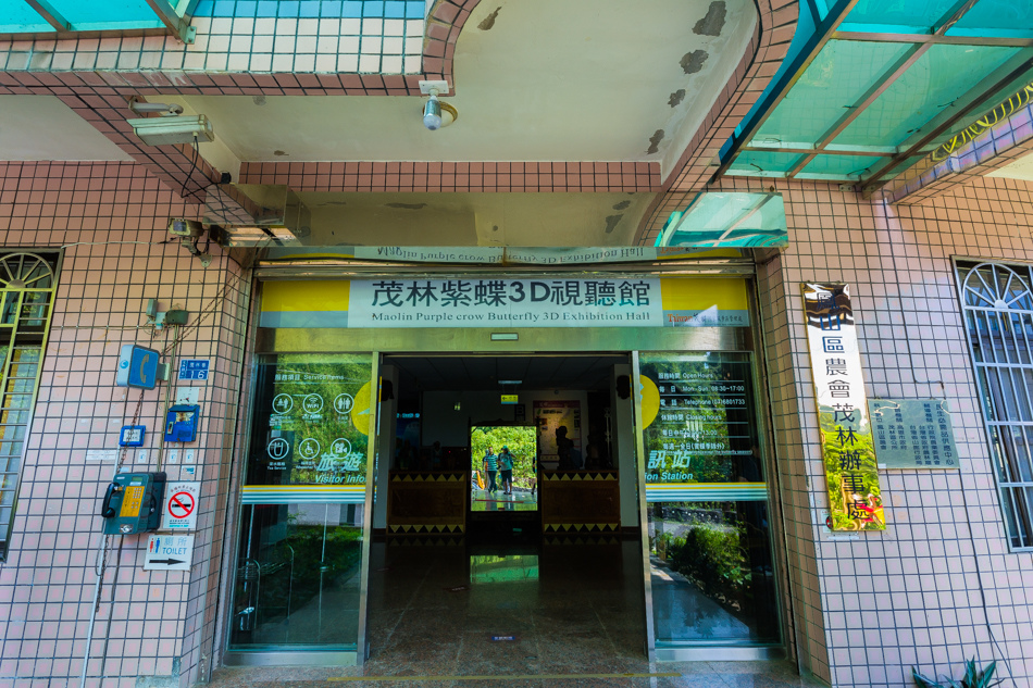 高雄旅遊 - 茂林紫斑蝶 高雄旅遊 - 茂林紫斑蝶