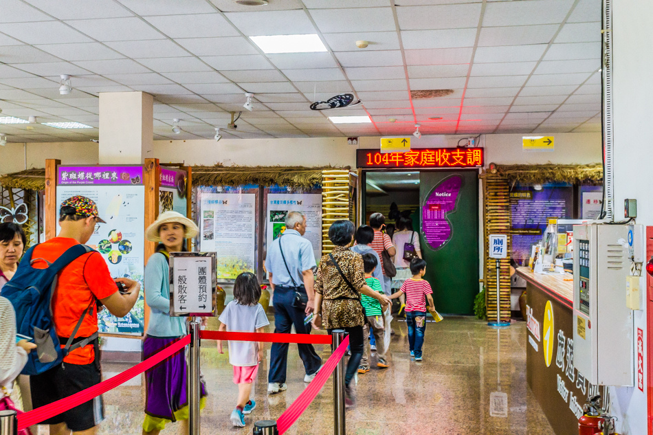 高雄旅遊 - 茂林紫斑蝶 高雄旅遊 - 茂林紫斑蝶