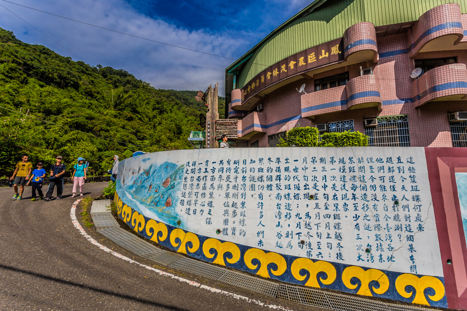 高雄旅遊 - 茂林紫斑蝶 高雄旅遊 - 茂林紫斑蝶