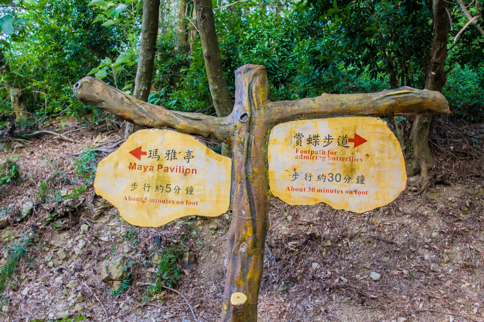 高雄旅遊 - 茂林紫斑蝶 高雄旅遊 - 茂林紫斑蝶