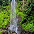 高雄旅遊 - 茂林雙年賞蝶 - 情人谷