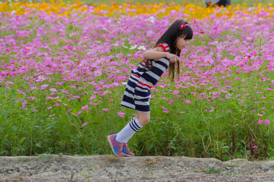 2015花田喜事/花漾橋頭