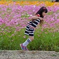 2015花田喜事/花漾橋頭