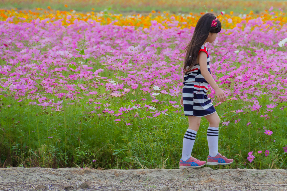 2015花田喜事/花漾橋頭