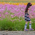 2015花田喜事/花漾橋頭