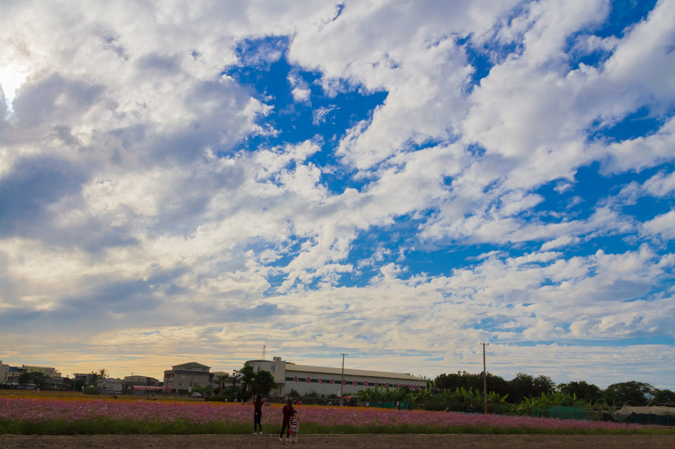 2015花田喜事/花漾橋頭