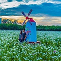 2015花田喜事/花漾橋頭