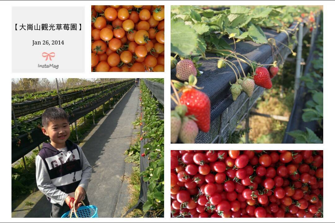 大崗山觀光果園 大崗山觀光果園