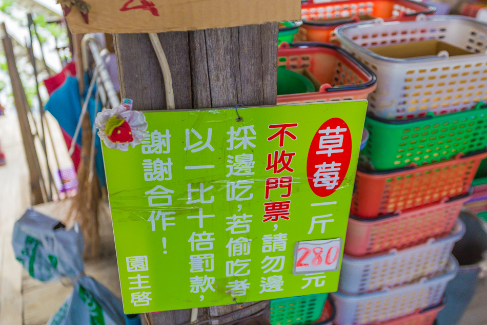 高雄景點 - 松田草莓園