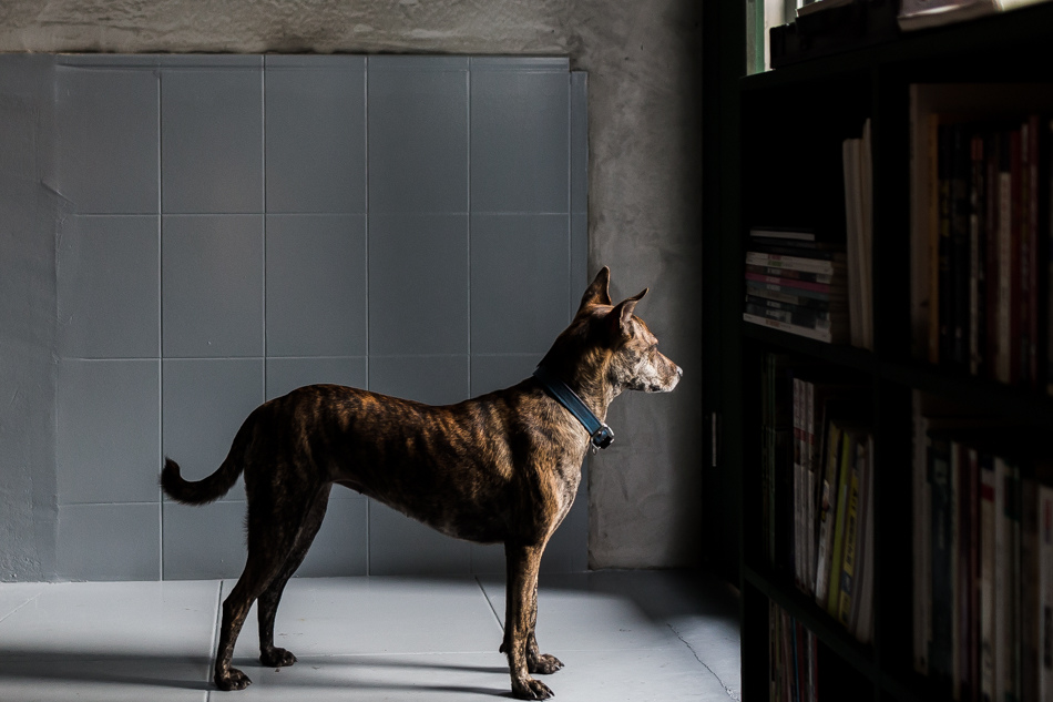 高雄酒吧/咖啡館/三千 - Atman Space 高雄酒吧/咖啡館/三千 - Atman Space