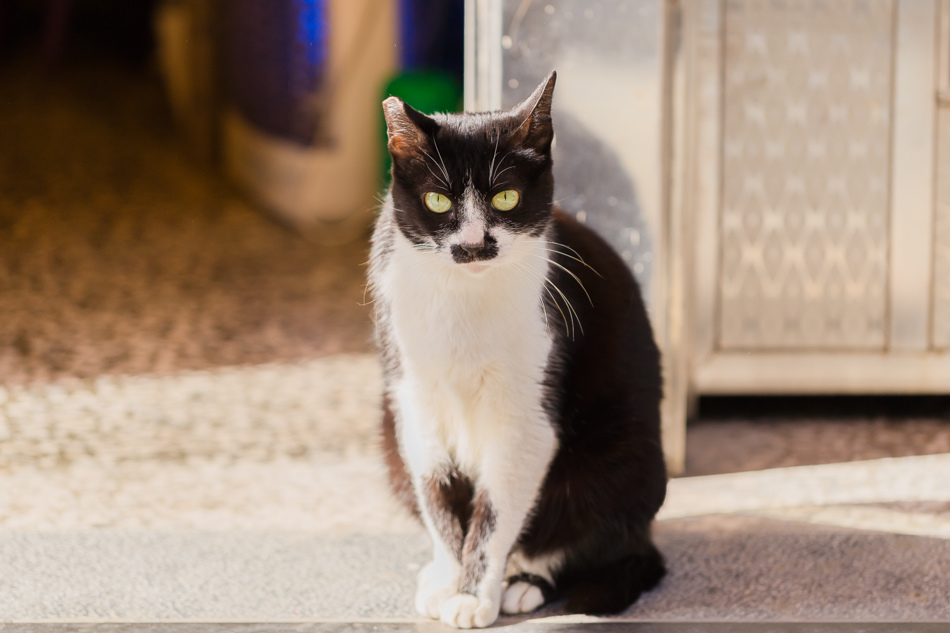 釜山女孩的Moodo topokki 辣煎年糕 釜山女孩的Moodo topokki 辣煎年糕