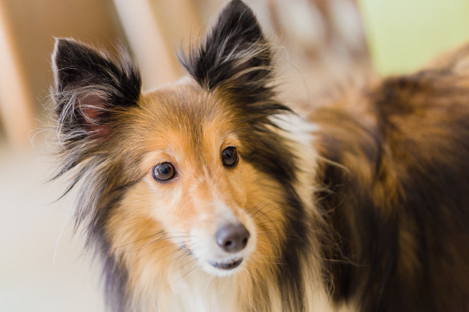 河堤社區 - 典咖啡 河堤社區 - 典咖啡