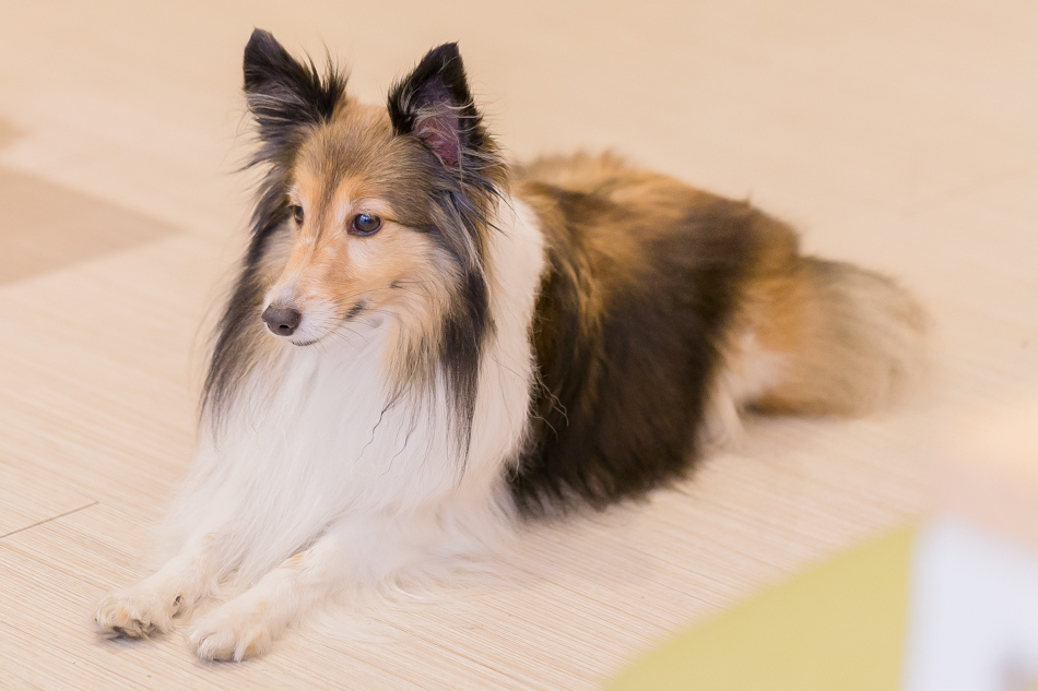 河堤社區 - 典咖啡 河堤社區 - 典咖啡