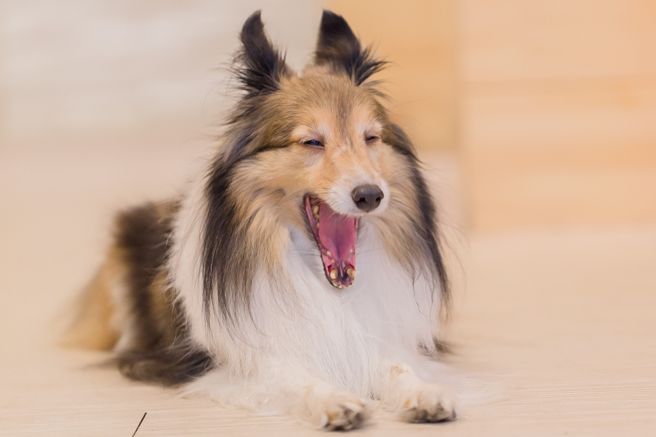 河堤社區 - 典咖啡 河堤社區 - 典咖啡