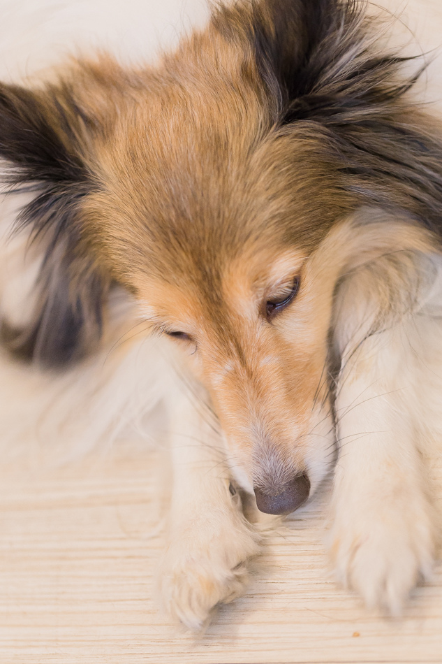 河堤社區 - 典咖啡 河堤社區 - 典咖啡