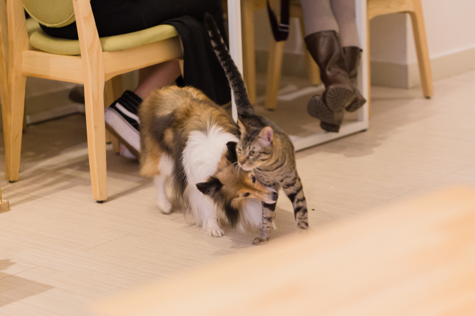 河堤社區 - 典咖啡 河堤社區 - 典咖啡