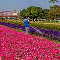 高雄旅遊 - 駁二鐵道園區PIER-2 RAILWAY PARK x 明日方舟|高雄國際貨櫃藝術節