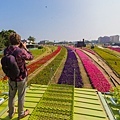 高雄旅遊 - 駁二鐵道園區PIER-2 RAILWAY PARK x 明日方舟|高雄國際貨櫃藝術節