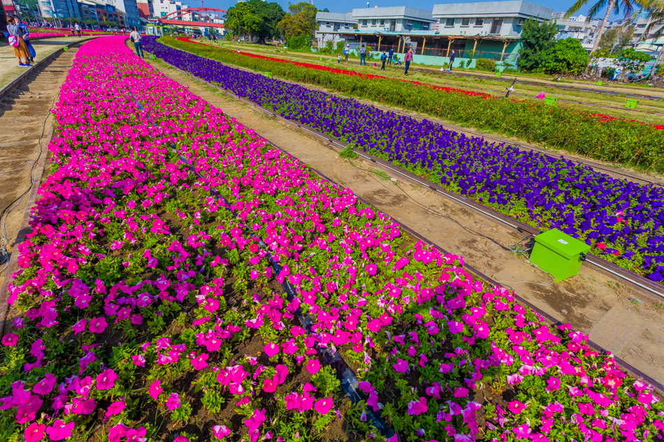 高雄旅遊 - 駁二鐵道園區PIER-2 RAILWAY PARK x 明日方舟|高雄國際貨櫃藝術節