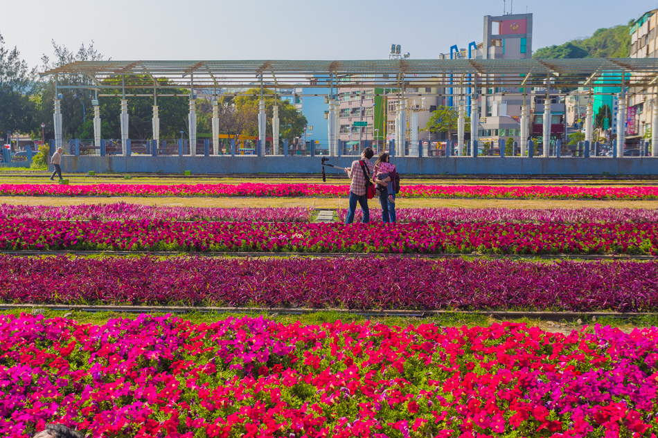 高雄旅遊 - 駁二鐵道園區PIER-2 RAILWAY PARK x 明日方舟|高雄國際貨櫃藝術節