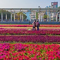 高雄旅遊 - 駁二鐵道園區PIER-2 RAILWAY PARK x 明日方舟|高雄國際貨櫃藝術節