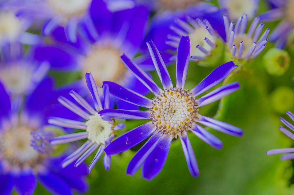 屏東美食 - 鄰舍現烤桶仔雞/屏東千禧公園 屏東美食 - 鄰舍現烤桶仔雞/屏東千禧公園