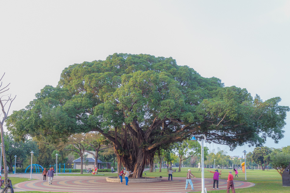 屏東美食 - 鄰舍現烤桶仔雞/屏東千禧公園 屏東美食 - 鄰舍現烤桶仔雞/屏東千禧公園