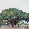 屏東美食 - 鄰舍現烤桶仔雞/屏東千禧公園